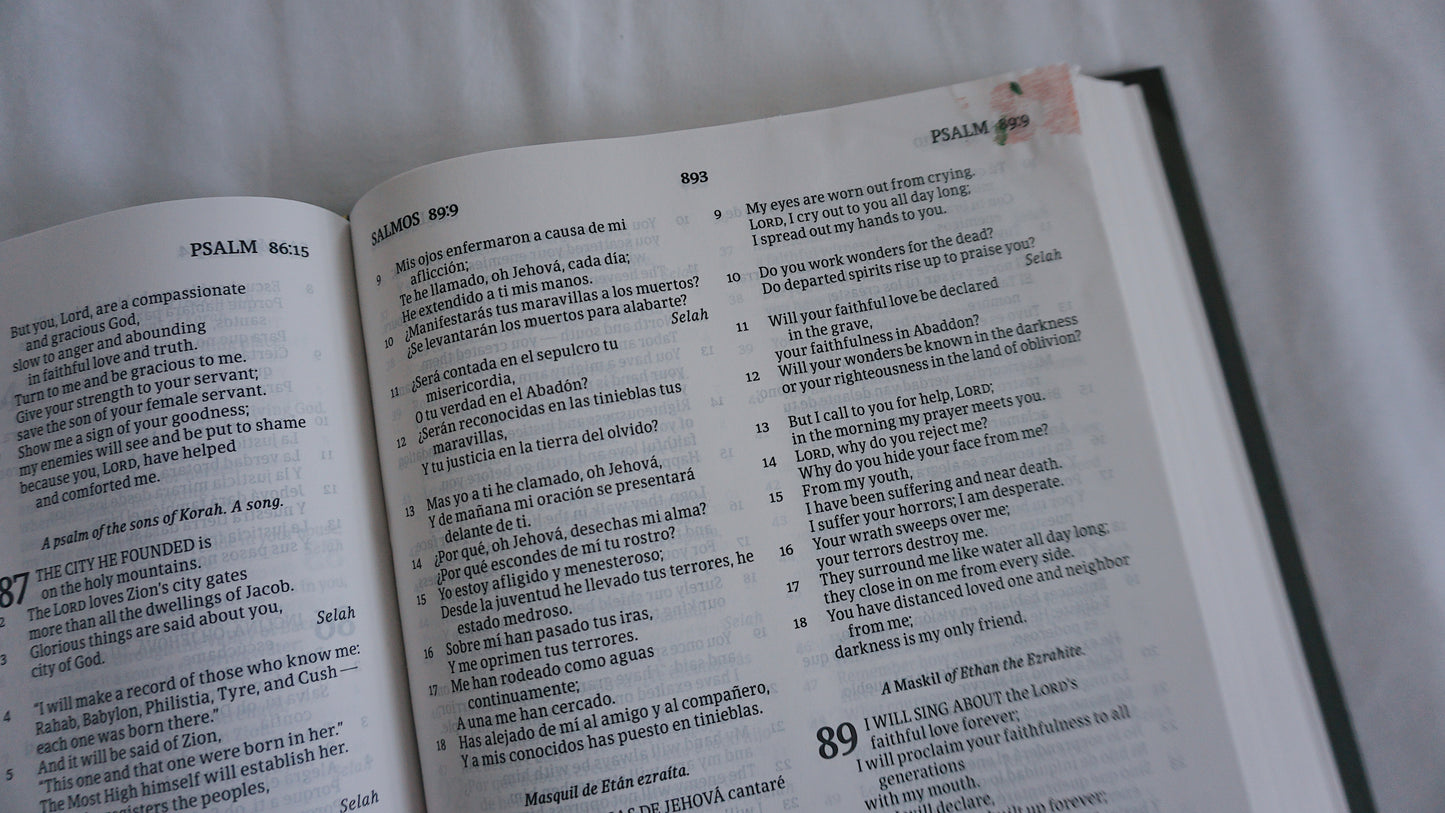En Tu Palabra He Puesto Mi Esperanza (Salmo 119:114) - Hand Painted Bilingual Bible - Large Print