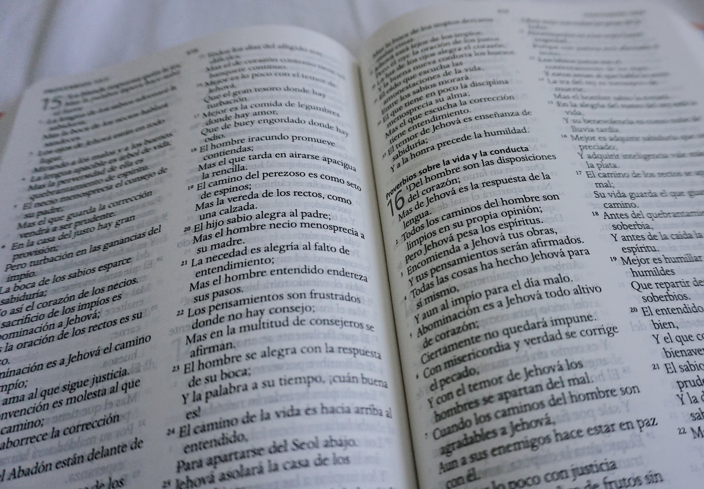 FINAL SALE AS IS - En Tu Presencia Hay Plenitud de Gozo (Salmo 16:11) - Hand Painted Spanish Bible - Large Print
