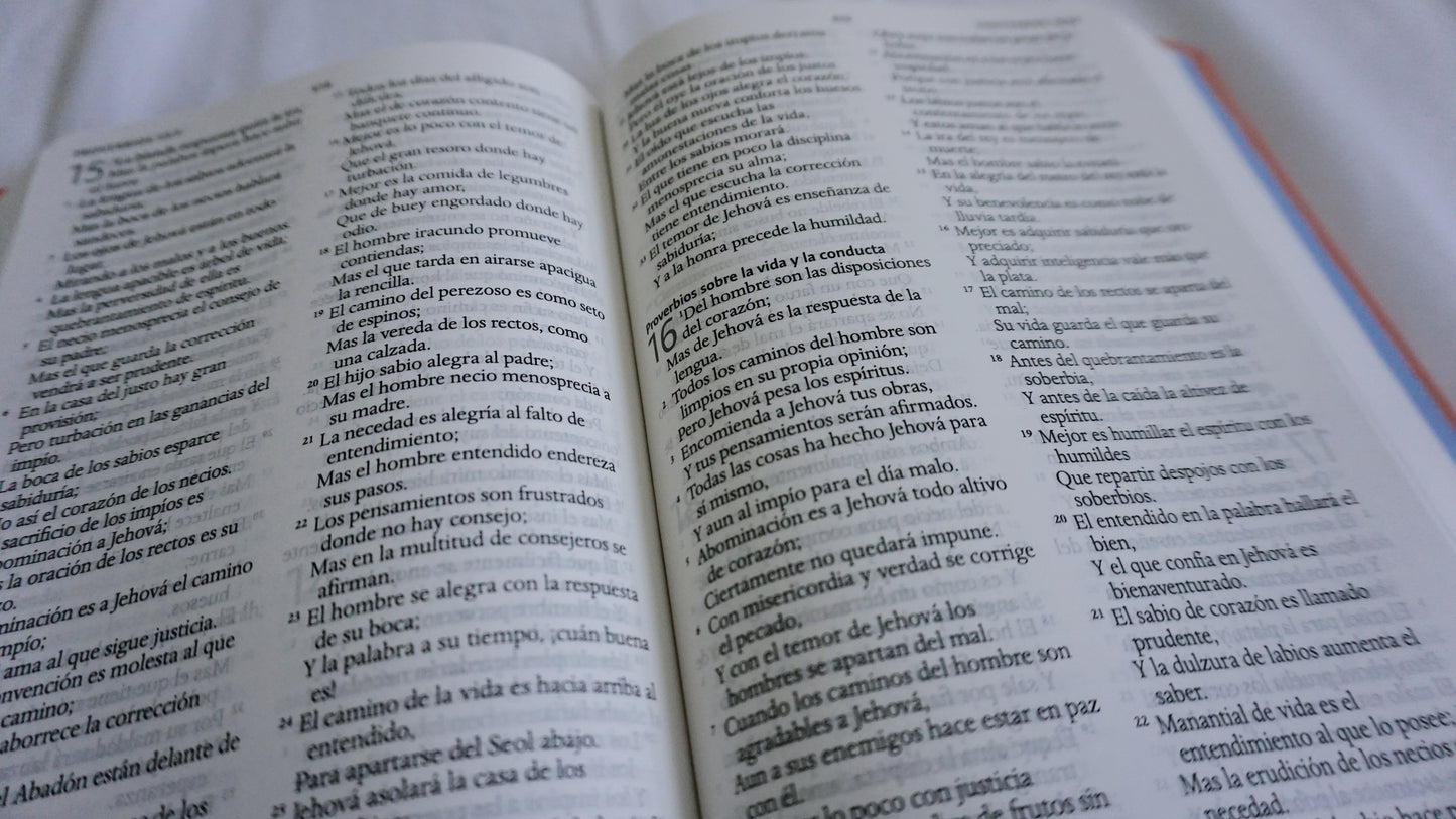 Dios es Fiel - Hand Painted Spanish Bible - Large Print