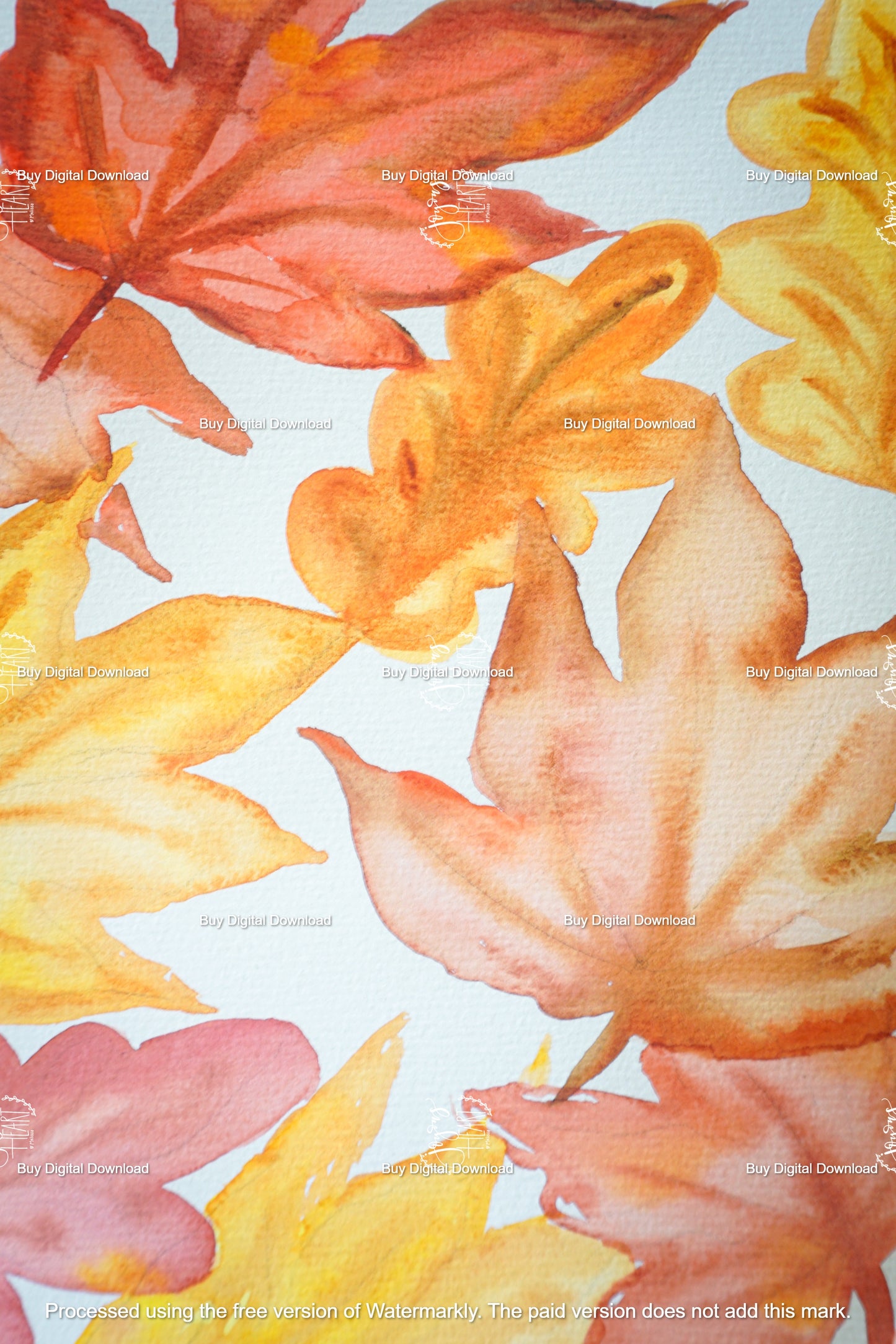 Autumn Leaves 2 - Digital Wallpaper