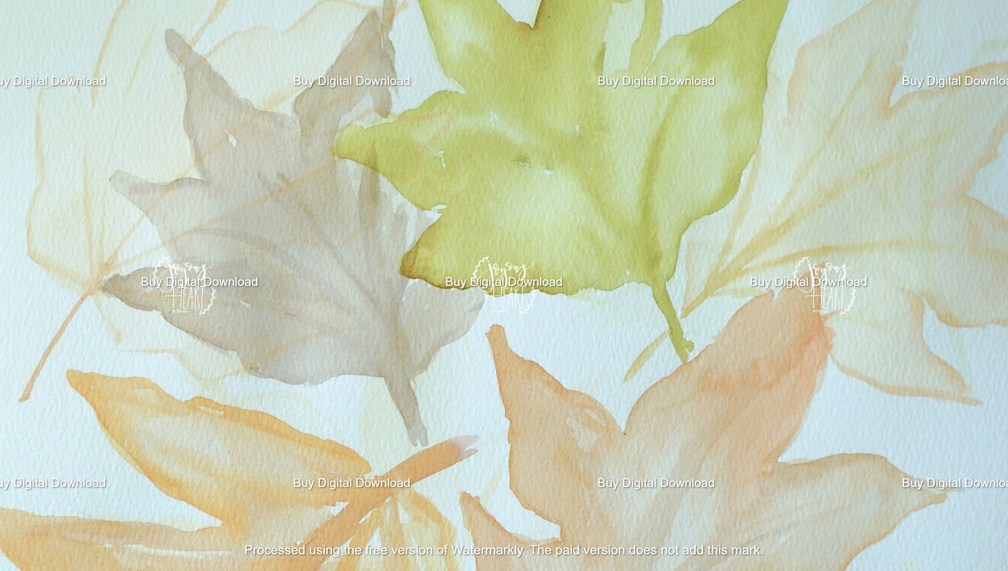 Changing Leaves 1 - Digital Wallpaper
