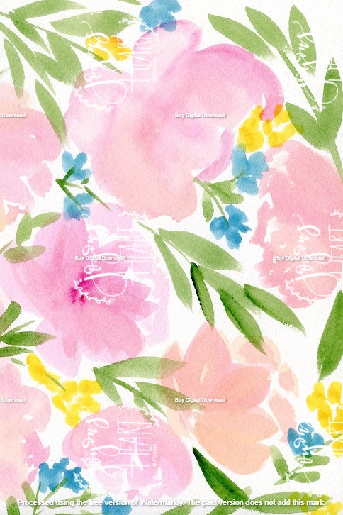 Delicate Peach - Digital Wallpaper
