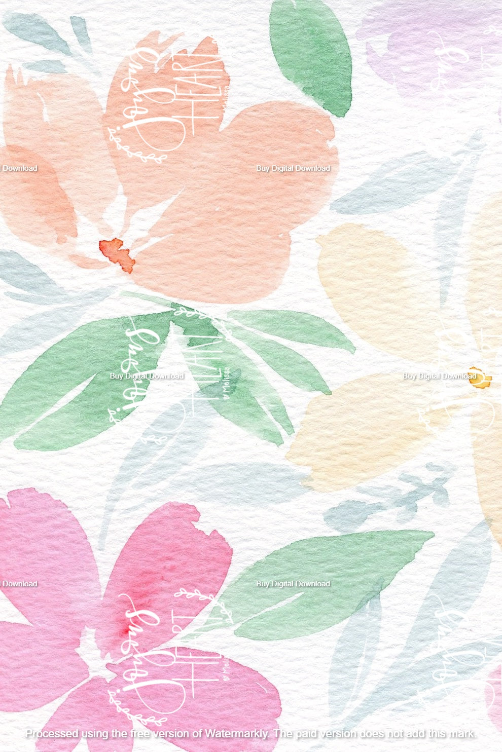 Flores Bonitas - Digital Wallpaper