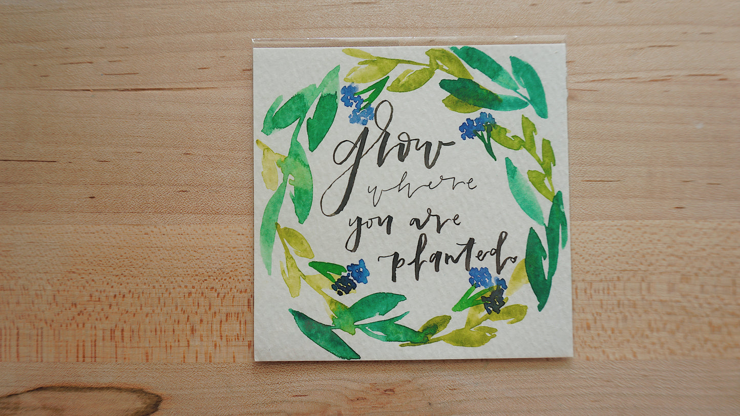 Grow Where You Are Planted - Postcard